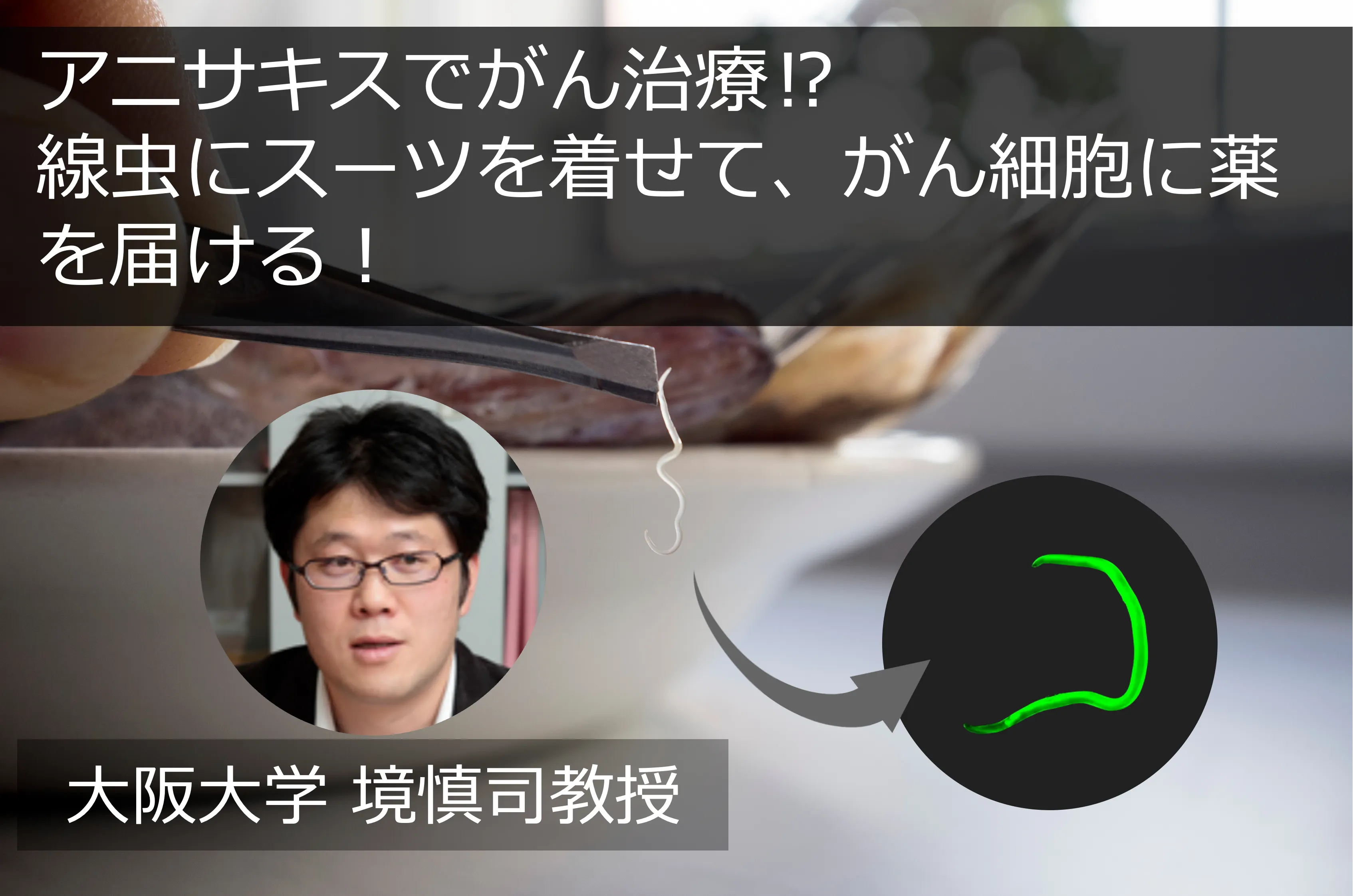 アニサキスでがん治療!? 大阪大学境教授開発の線虫機能性コーティング技術│リケラボ