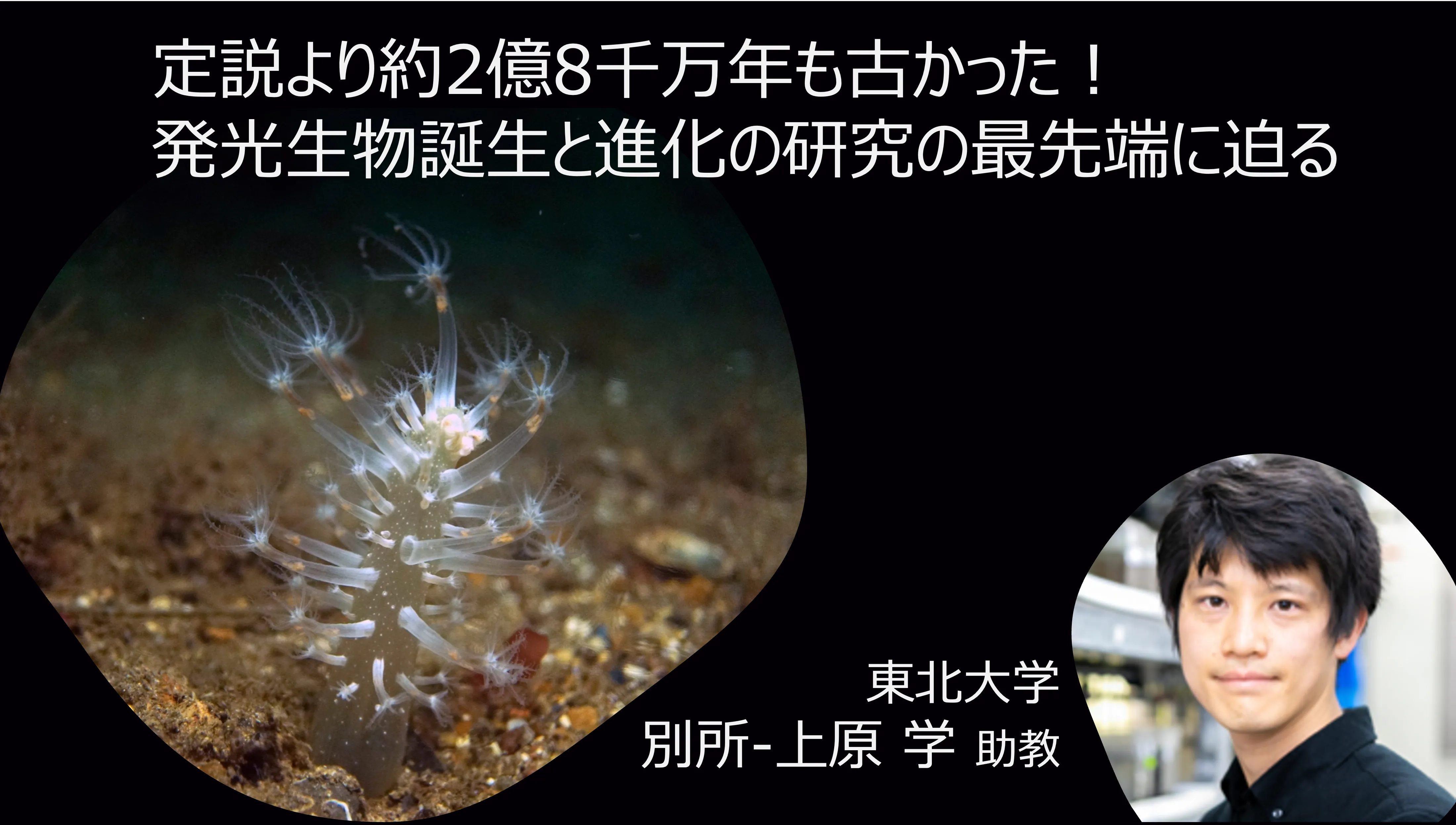 定説より約2億8千万年も古かった！　発光生物誕生と進化の研究の最先端　東北大学・別所-上原学助教インタビュー